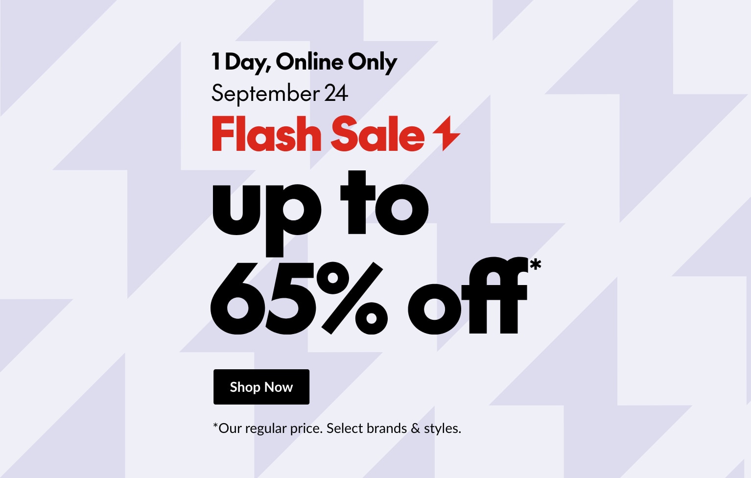 Flash Sale - 1 Day, Online Only. September 24, 2024.