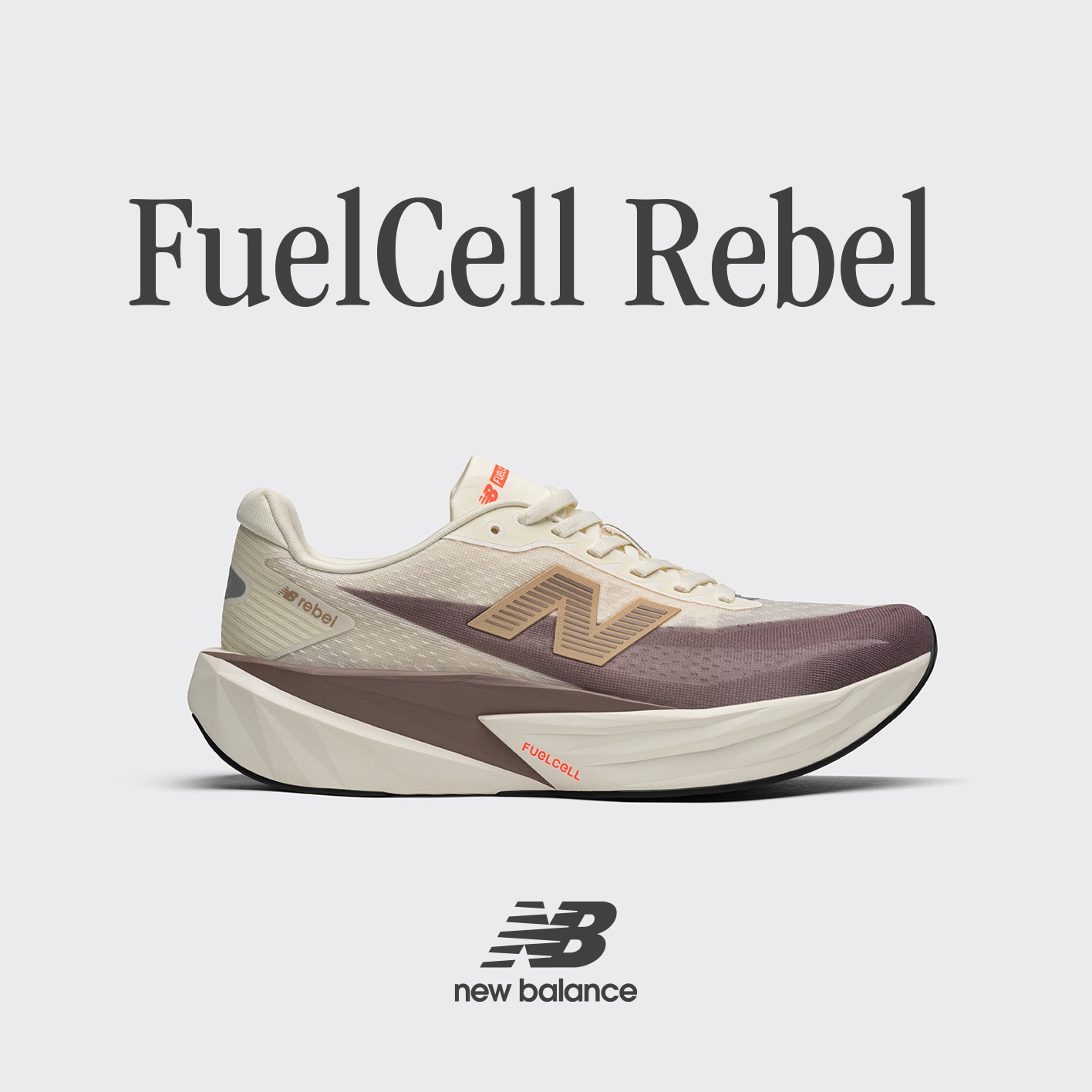 FuelCell Rebel v5