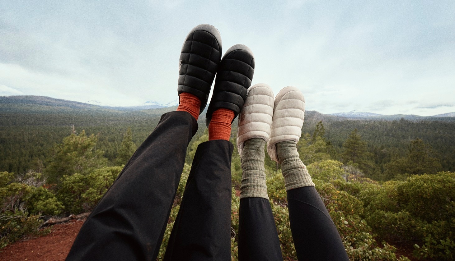 The North Face Evolution Logowear Collection