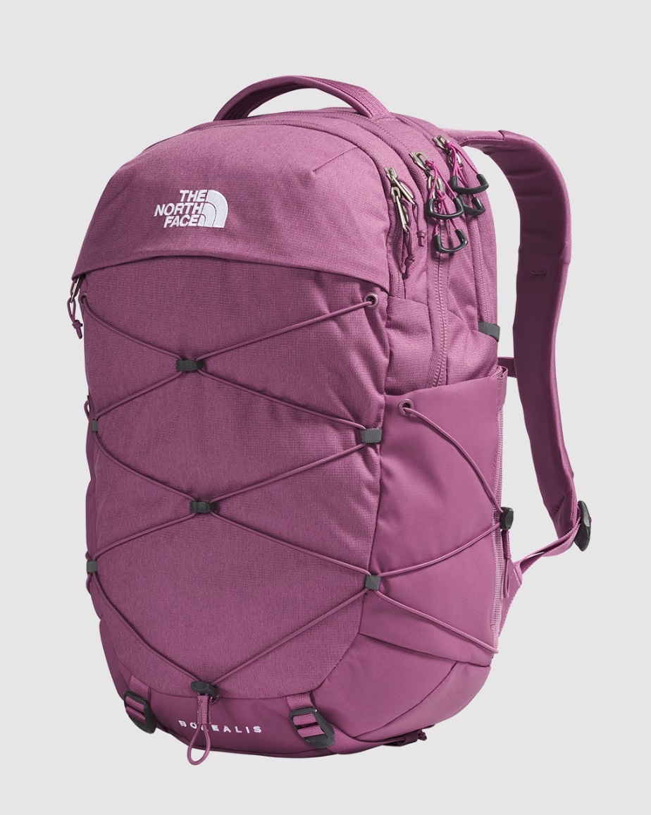 Large (28L+)
