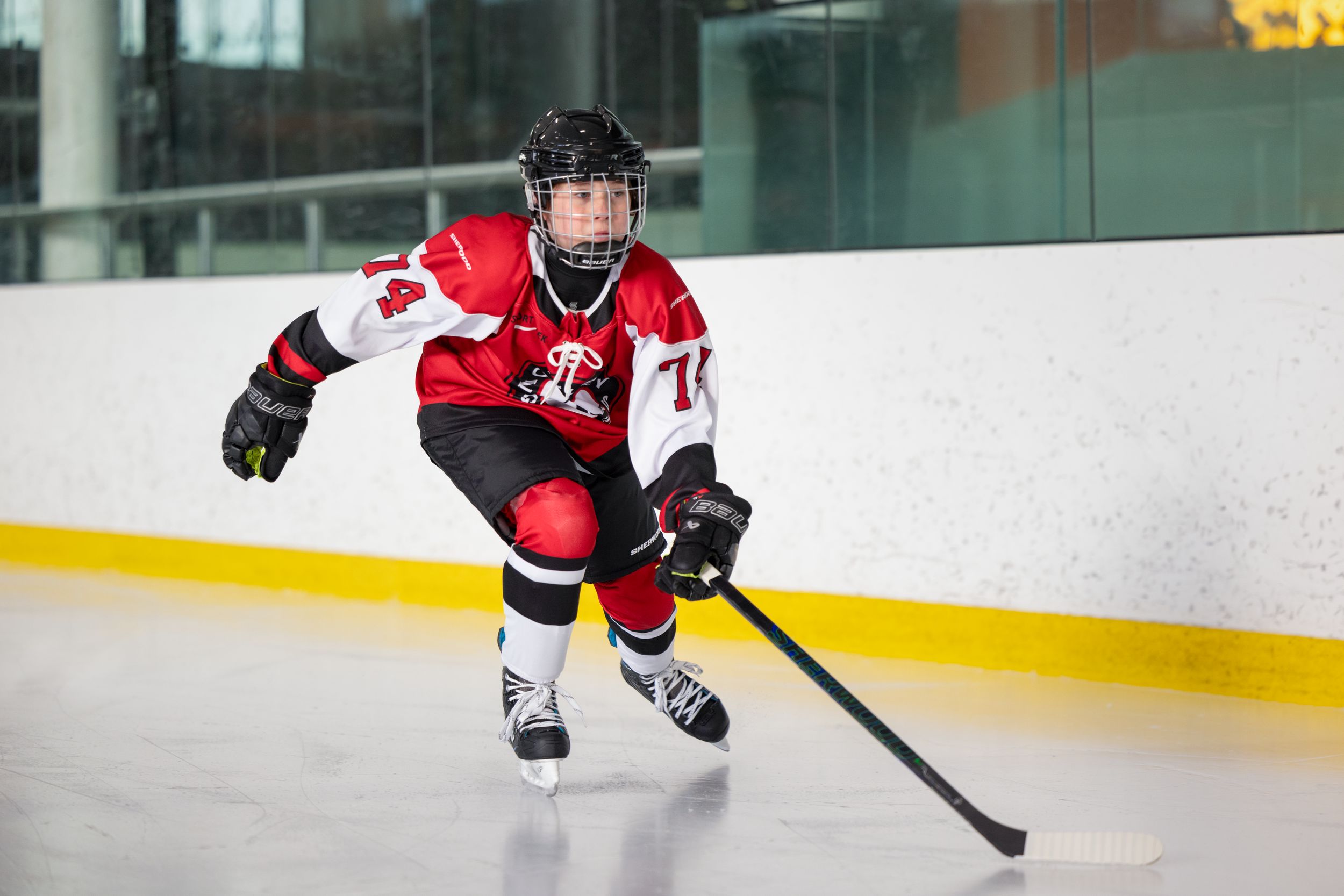 Sherwood Code Encrypt Pro Junior 30 Flex Hockey Stick