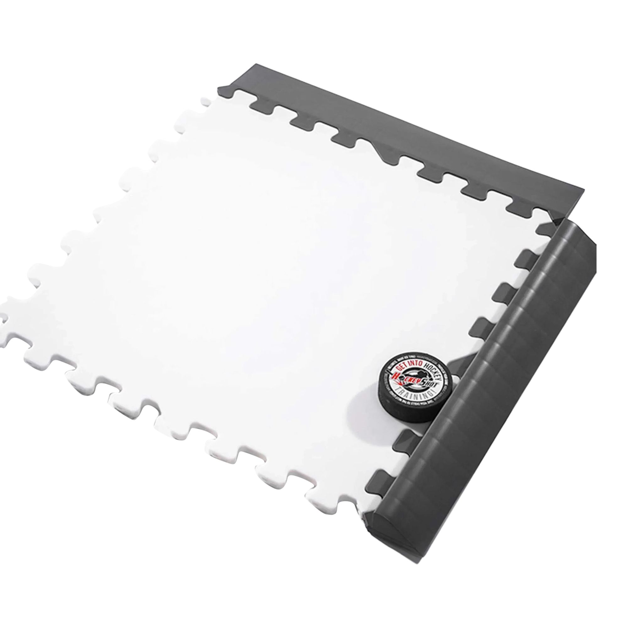 HockeyShot Smooth Edging Tile 6-pk Overhead_Plunge