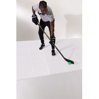 Sherwood Hockey Tile - 12pk Overhead_Plunge