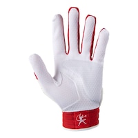 Mizuno Finch Batting Gloves Front_Flat