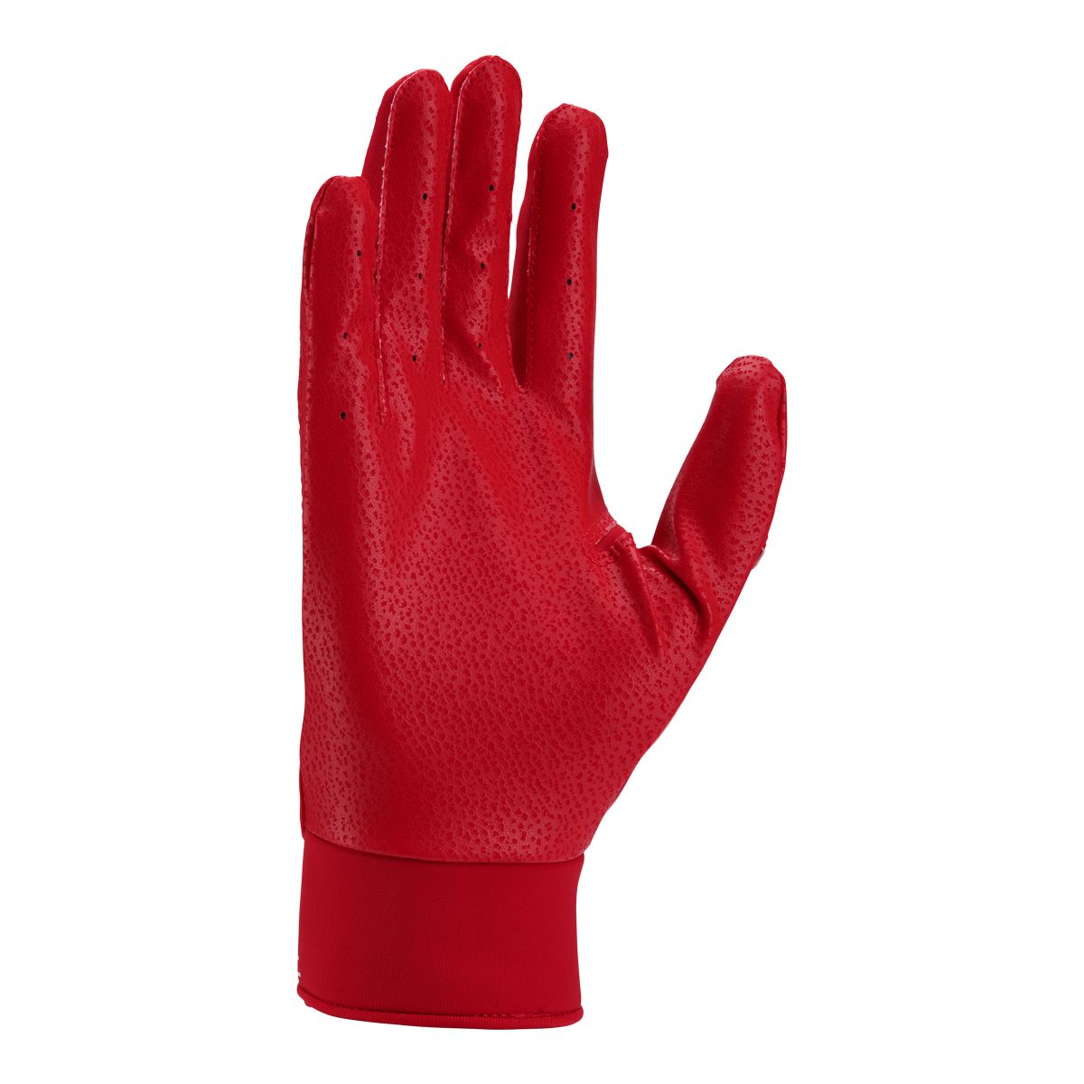 Nike Alpha Baseball Batting Gloves