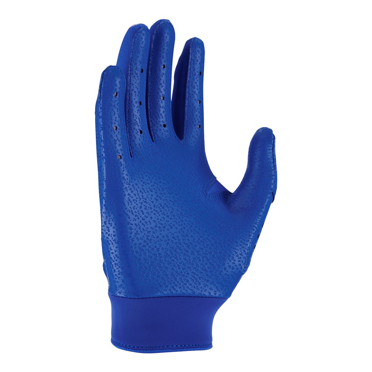 Nike Alpha Youth Baseball Batting Gloves