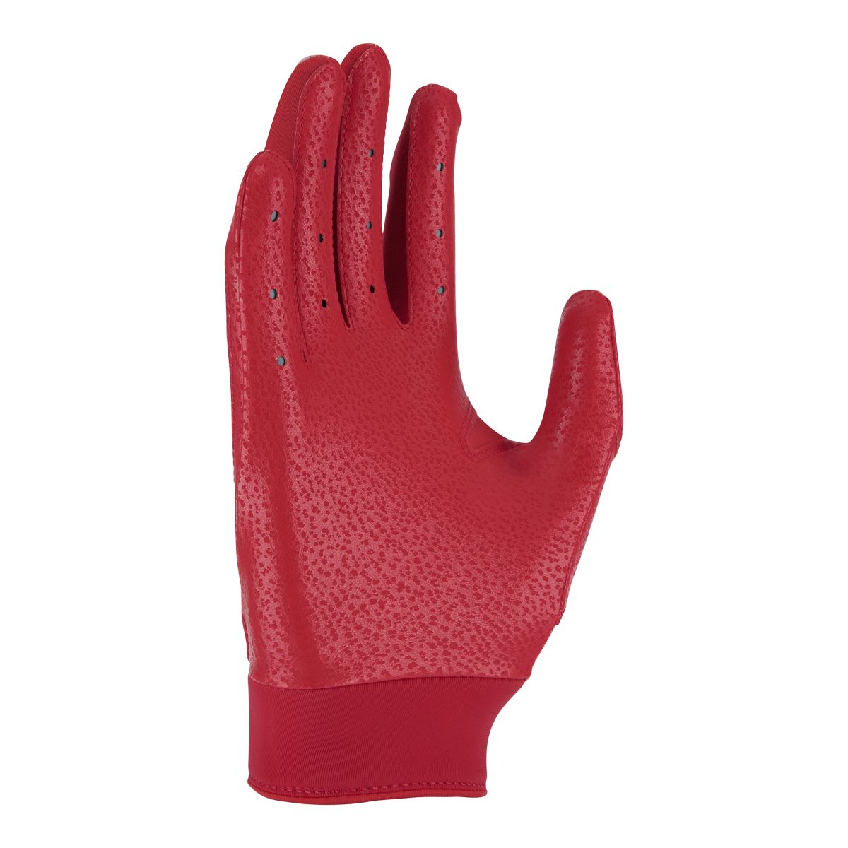 Nike Alpha Youth Baseball Batting Gloves