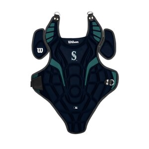 Wilson EZ Gear Kit