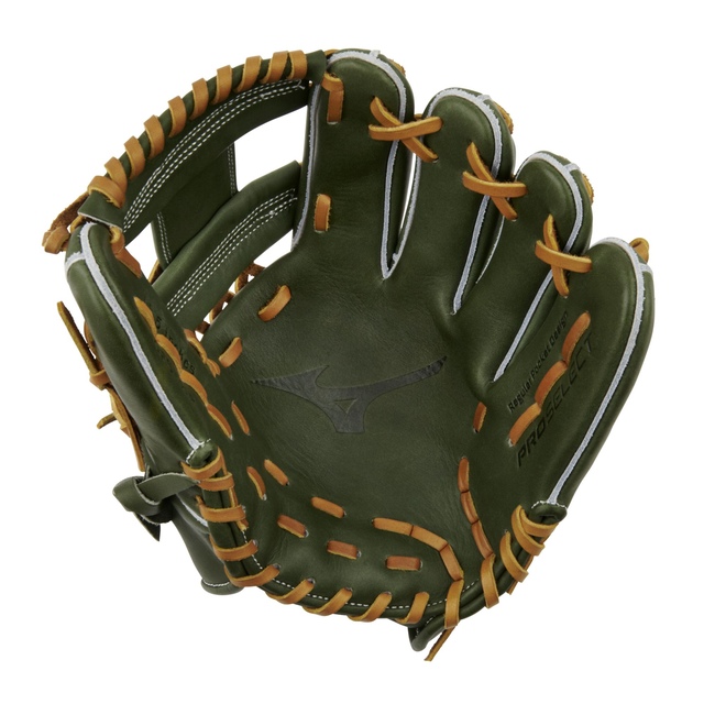 Mizuno Pro Select Baseball Gloves