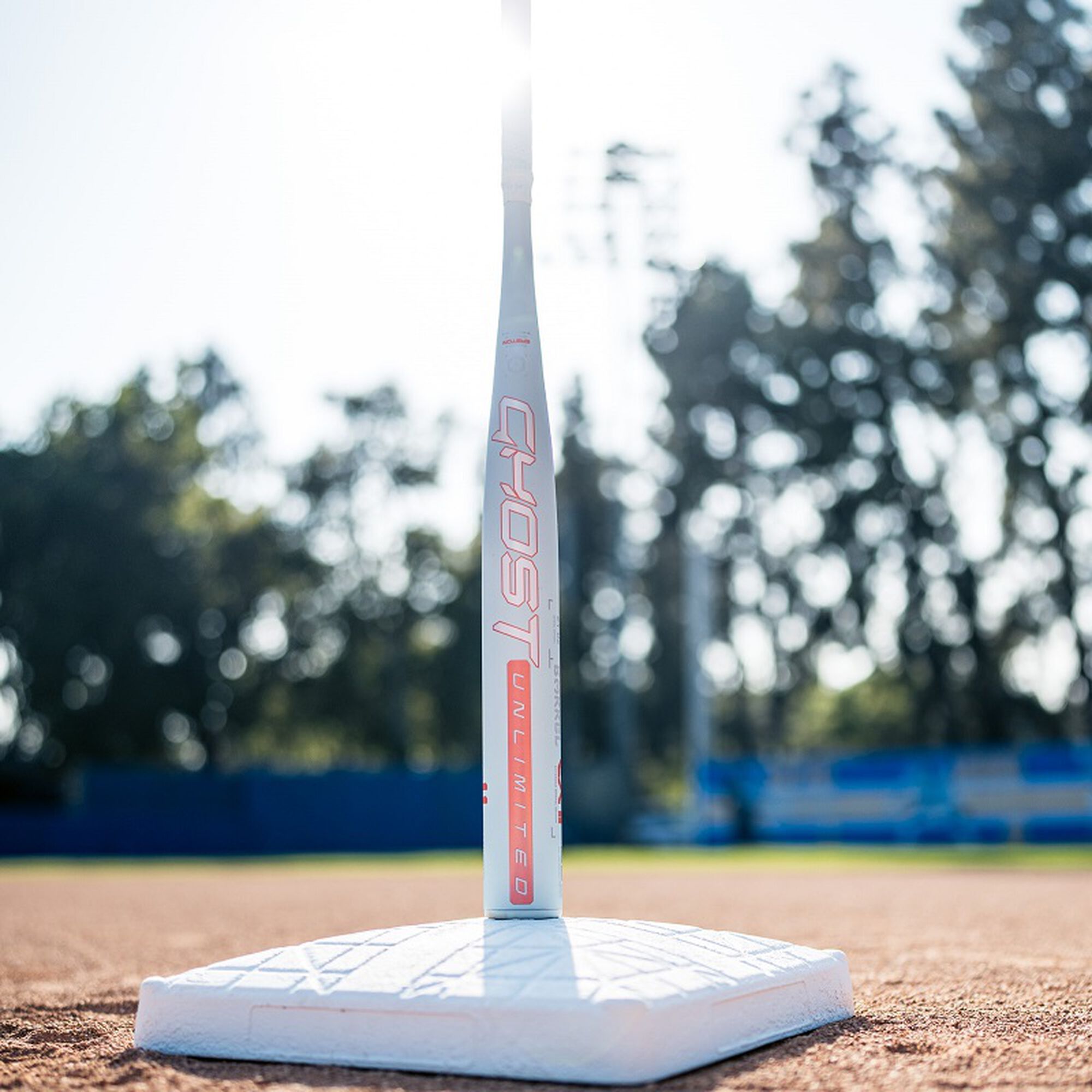 Easton Ghost Unlimited Fastpitch (-10) Baseball Bat