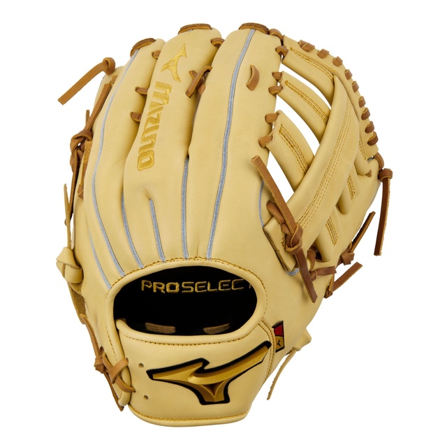 Mizuno GPS-70D Pro Select Baseball Glove