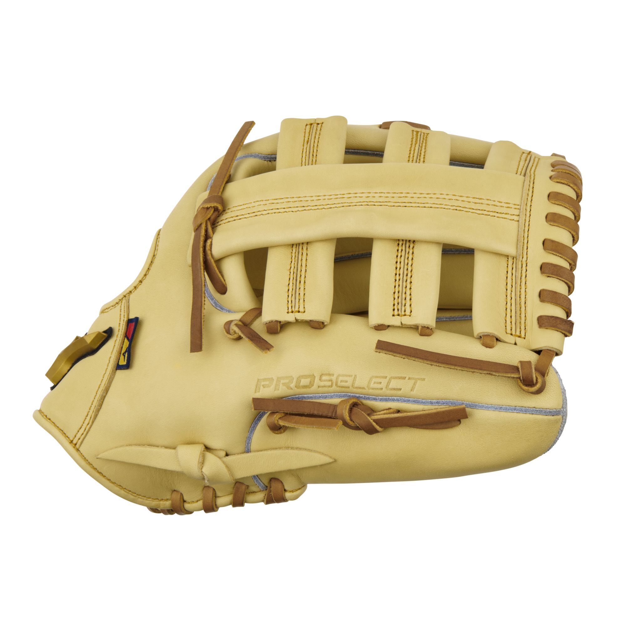 Mizuno GPS-70D Pro Select Baseball Glove