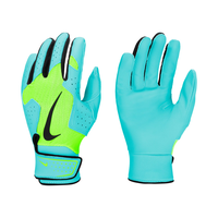 Nike Alpha 2.0 Youth Baseball Batting Gloves