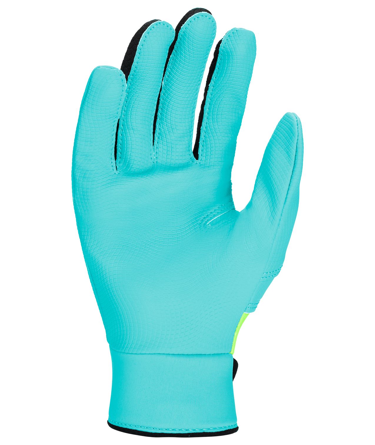 Nike Alpha 2.0 Youth Baseball Batting Gloves