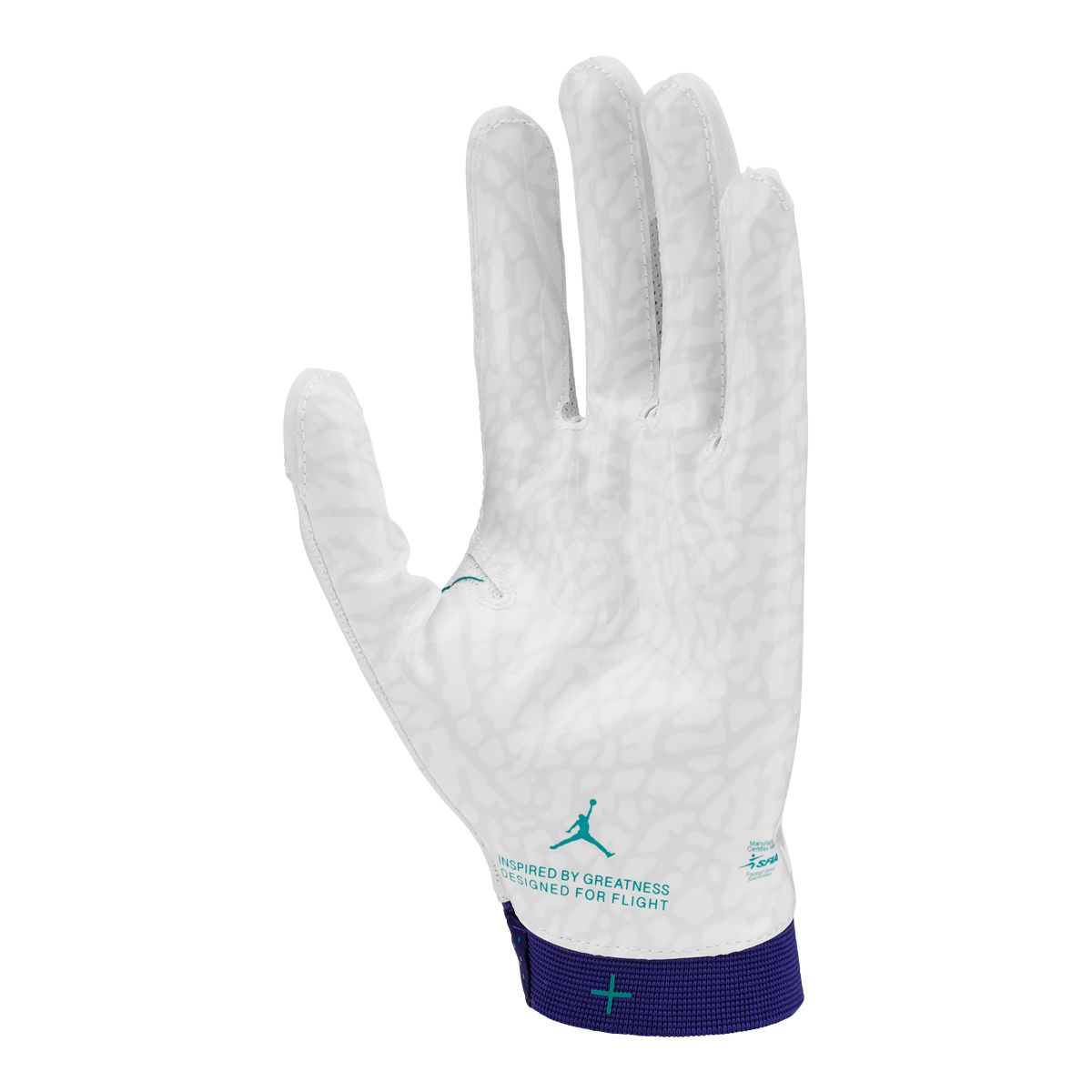 Jordan Fly Football Gloves