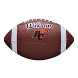 Detroit Lions Wilson CFL Mini Junior Football Front_Flat