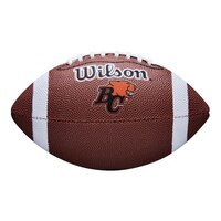 Detroit Lions Wilson CFL Mini Junior Football Front_Flat