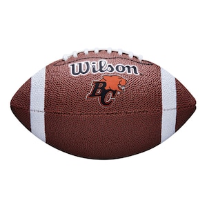 Detroit Lions Wilson CFL Mini Junior Football
