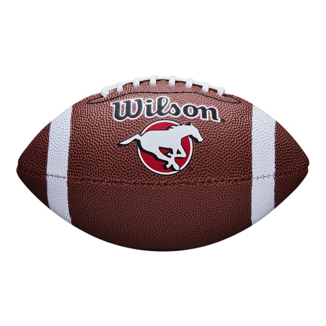 Calgary Stampeders Wilson CFL Mini Junior Football Front_Flat