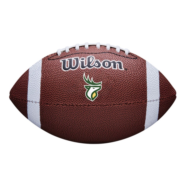 Edmonton Elks Wilson CFL Mini Junior Football Front_Flat