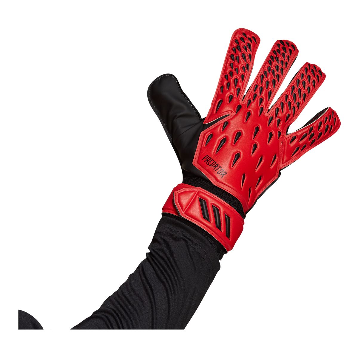 adidas Predator Training Goalie Gloves