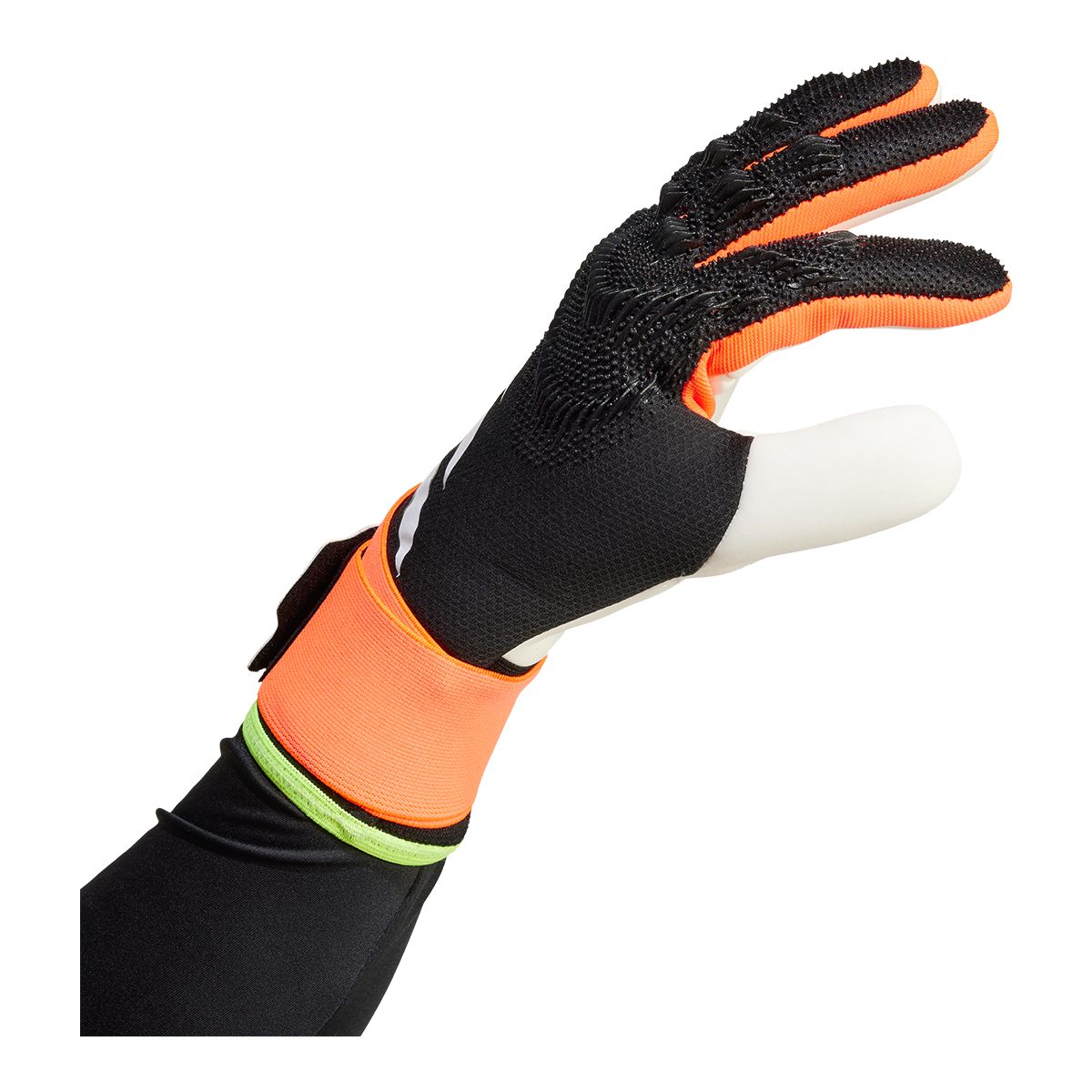 adidas Predator Competition Senior Gloves