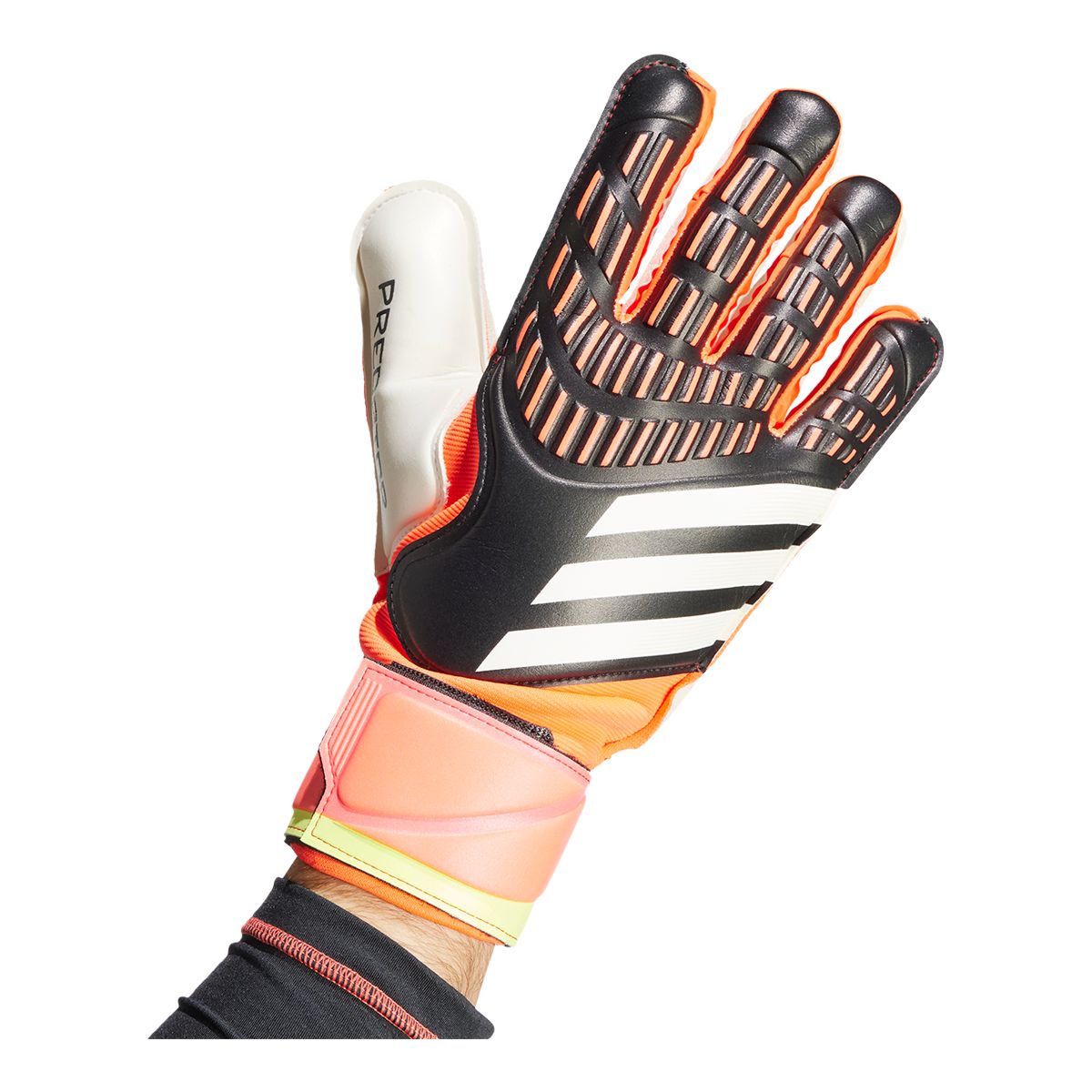 adidas Predator Match Senior Gloves