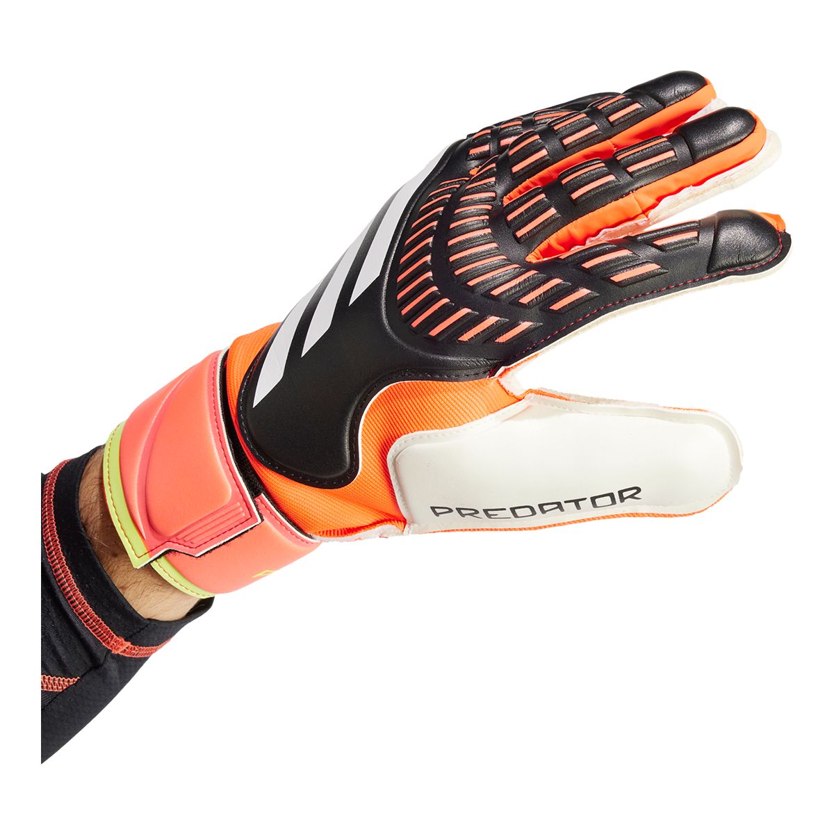 adidas Predator Match Senior Gloves