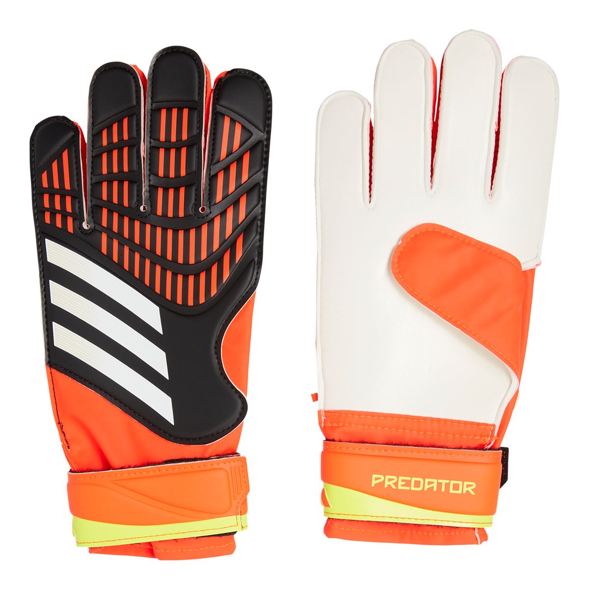 adidas Predator Train Senior Gloves