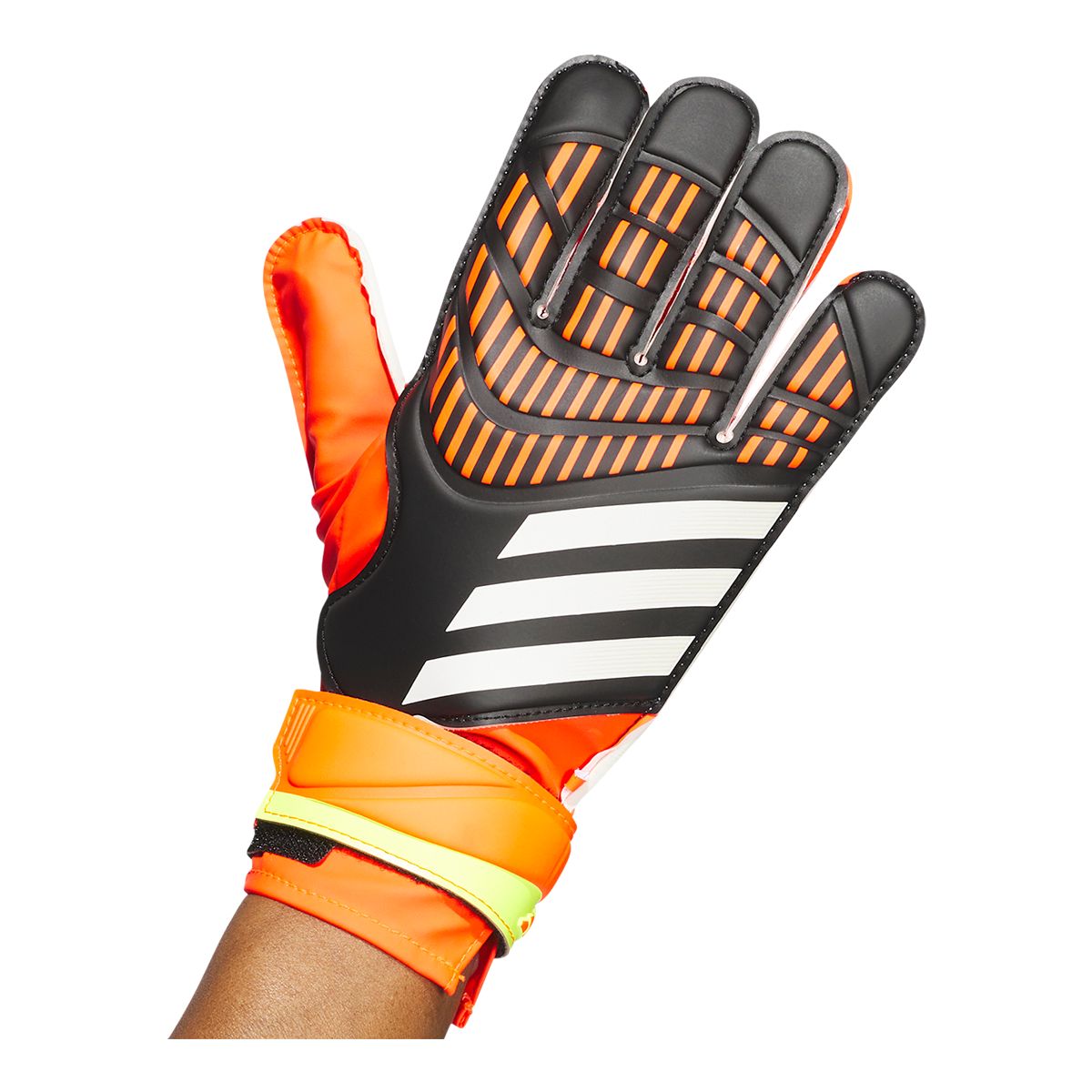 adidas Predator Train Senior Gloves