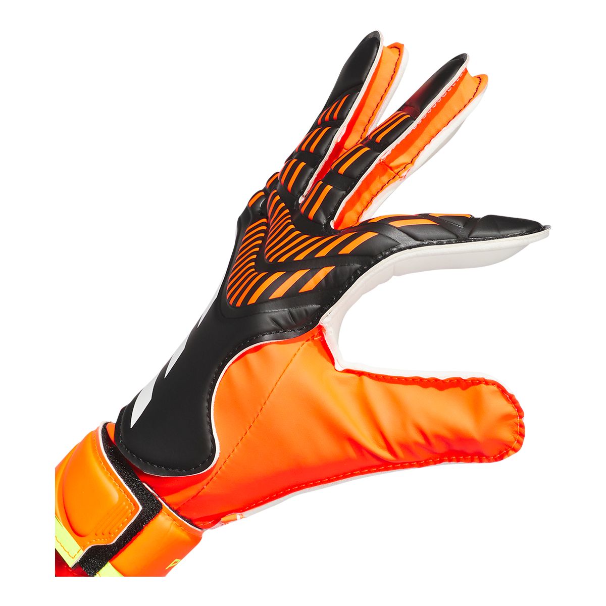 adidas Predator Train Senior Gloves