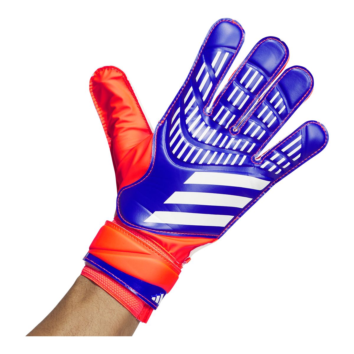 adidas Predator Training Senior Gloves