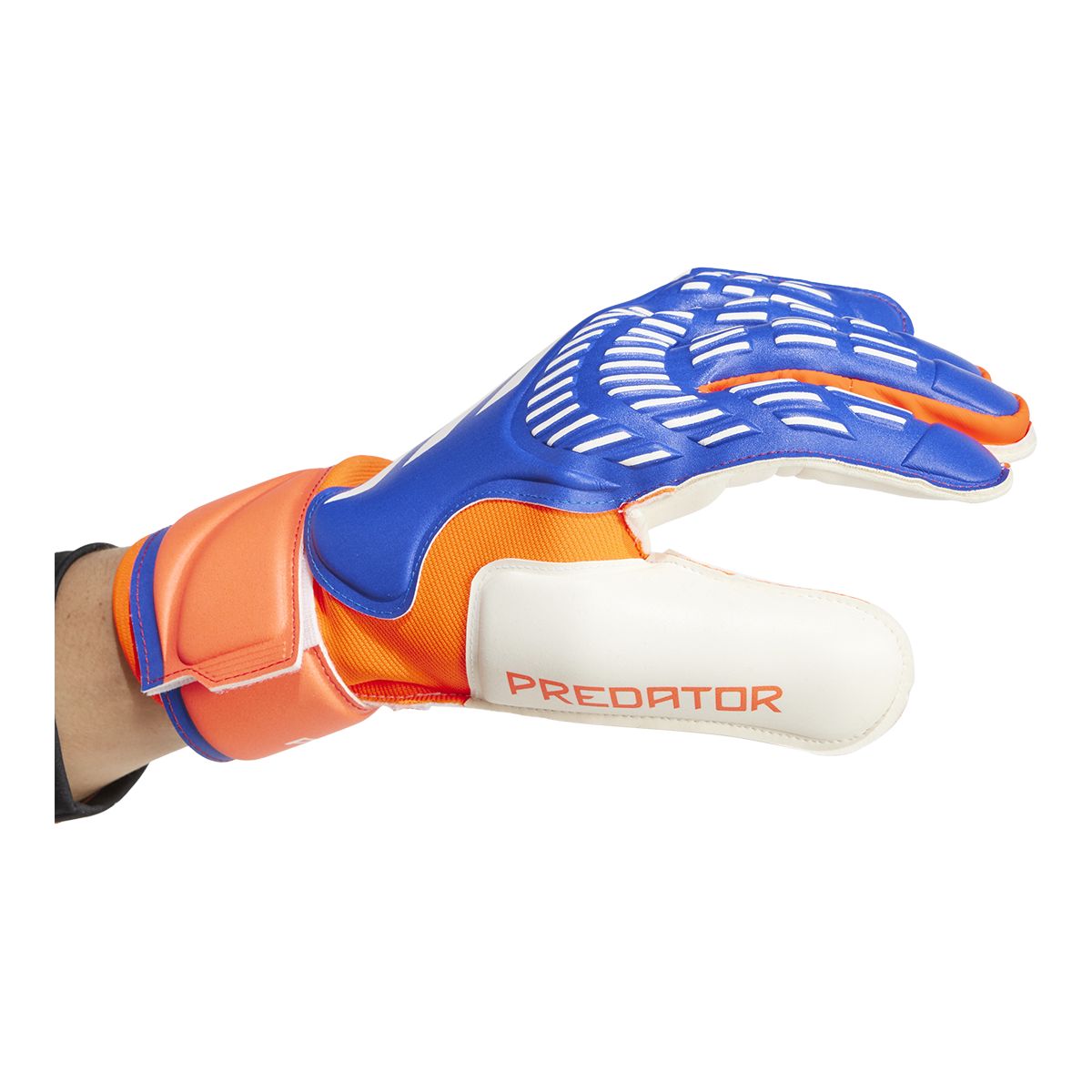 adidas Predator Match Senior Gloves