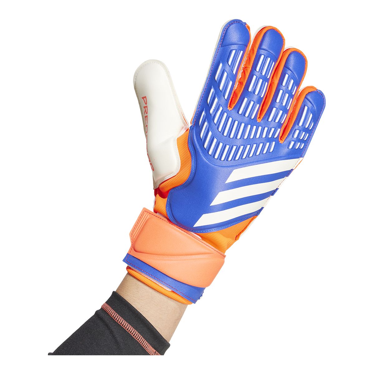 adidas Predator Match Senior Gloves