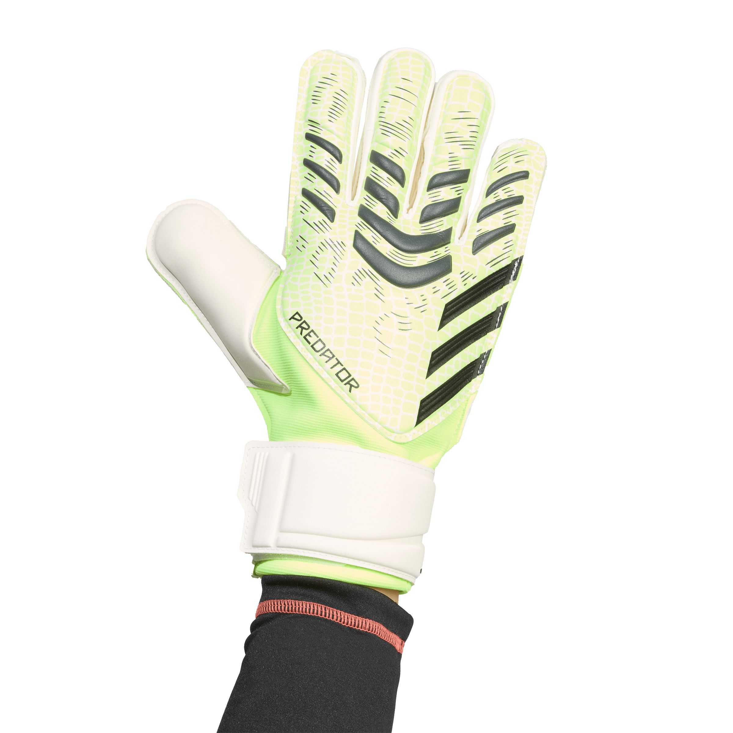 adidas Predator Match Senior Soccer Gloves