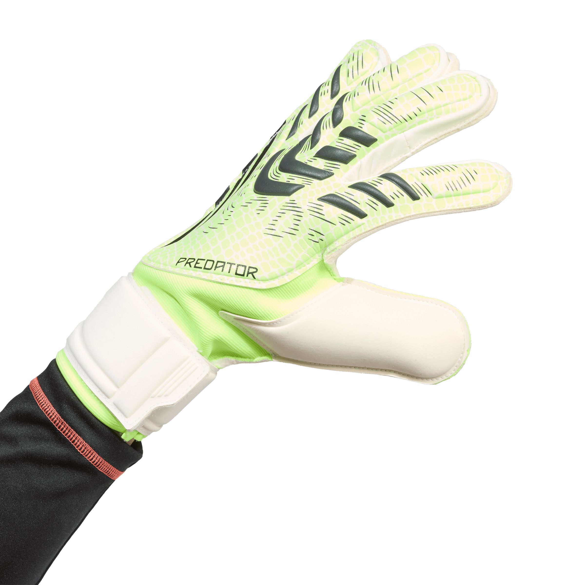 adidas Predator Match Senior Soccer Gloves