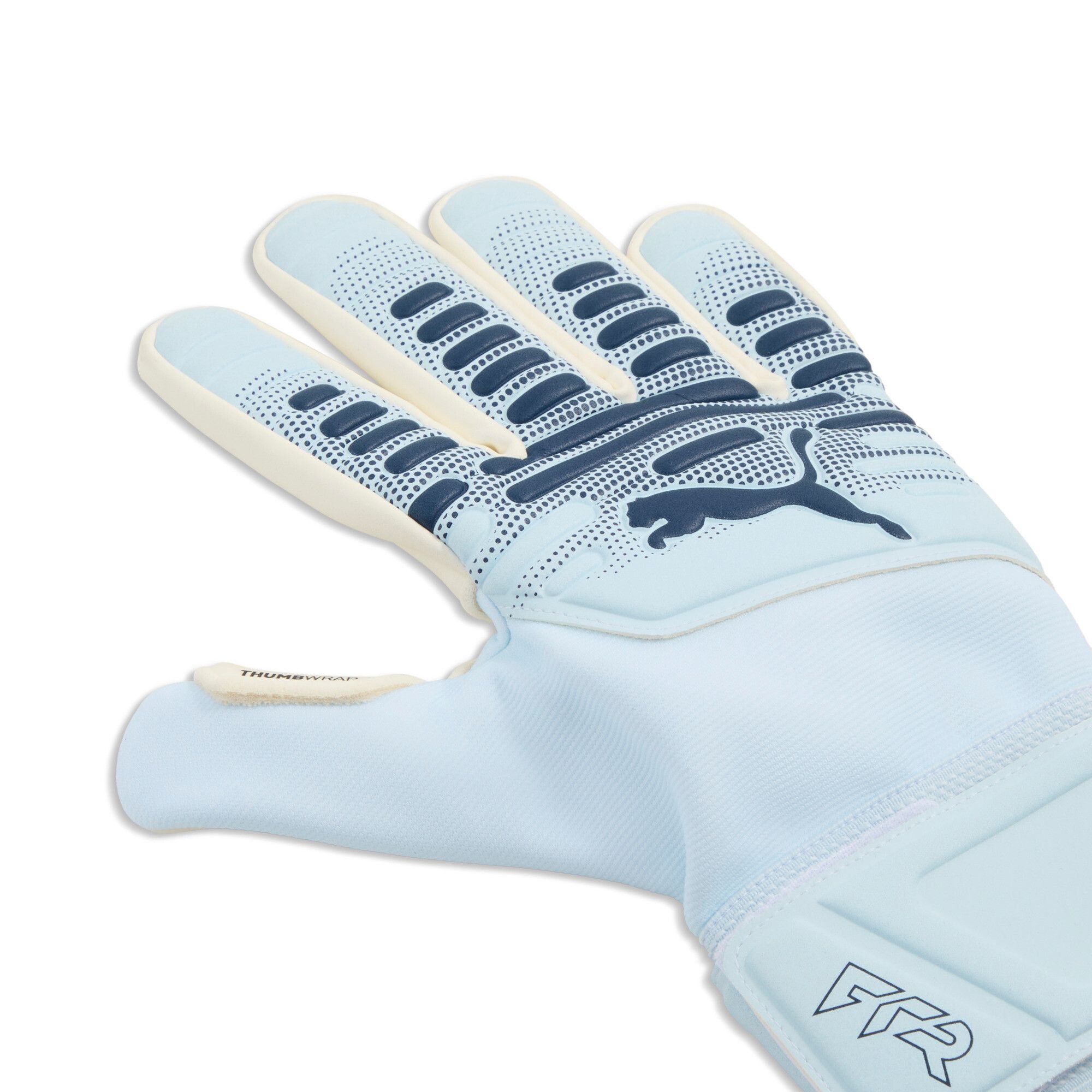 PUMA Future Match NC Senior Soccer Goalkeeper Gloves