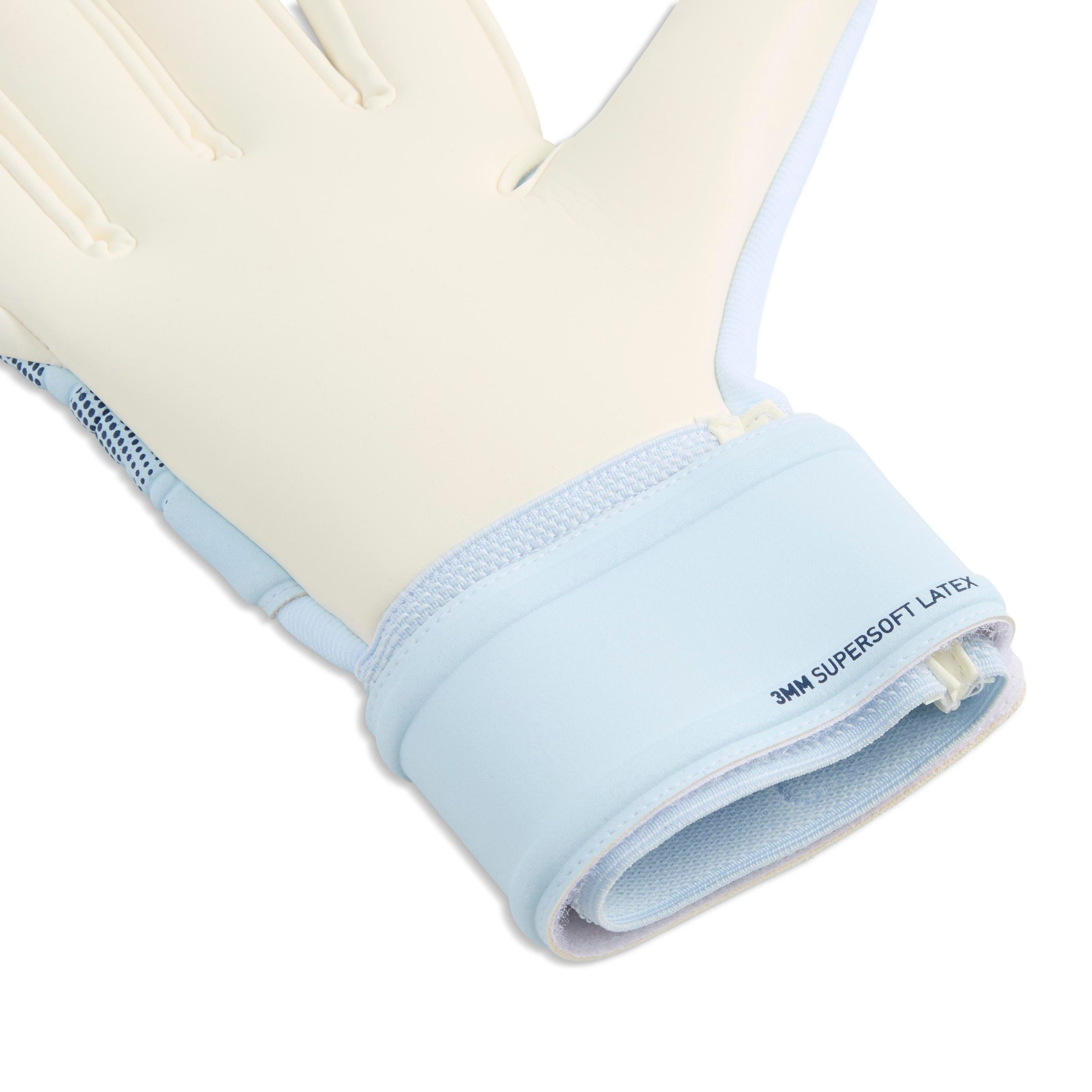 PUMA Future Match NC Senior Soccer Goalkeeper Gloves