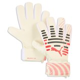 PUMA Future Play NC Senior Soccer Gloves
