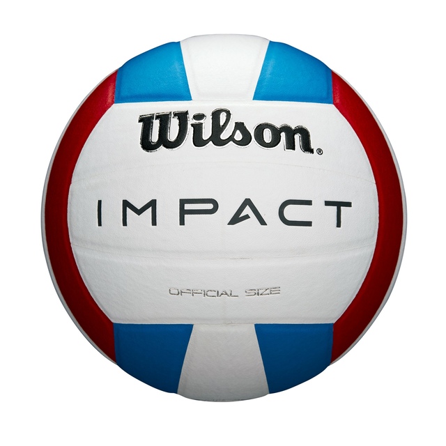 Wilson S19 Impact Volleyball