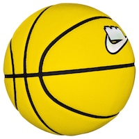 Nike All Court Project OUCH Senior Basketball - Size 7 Front_Angled_Right