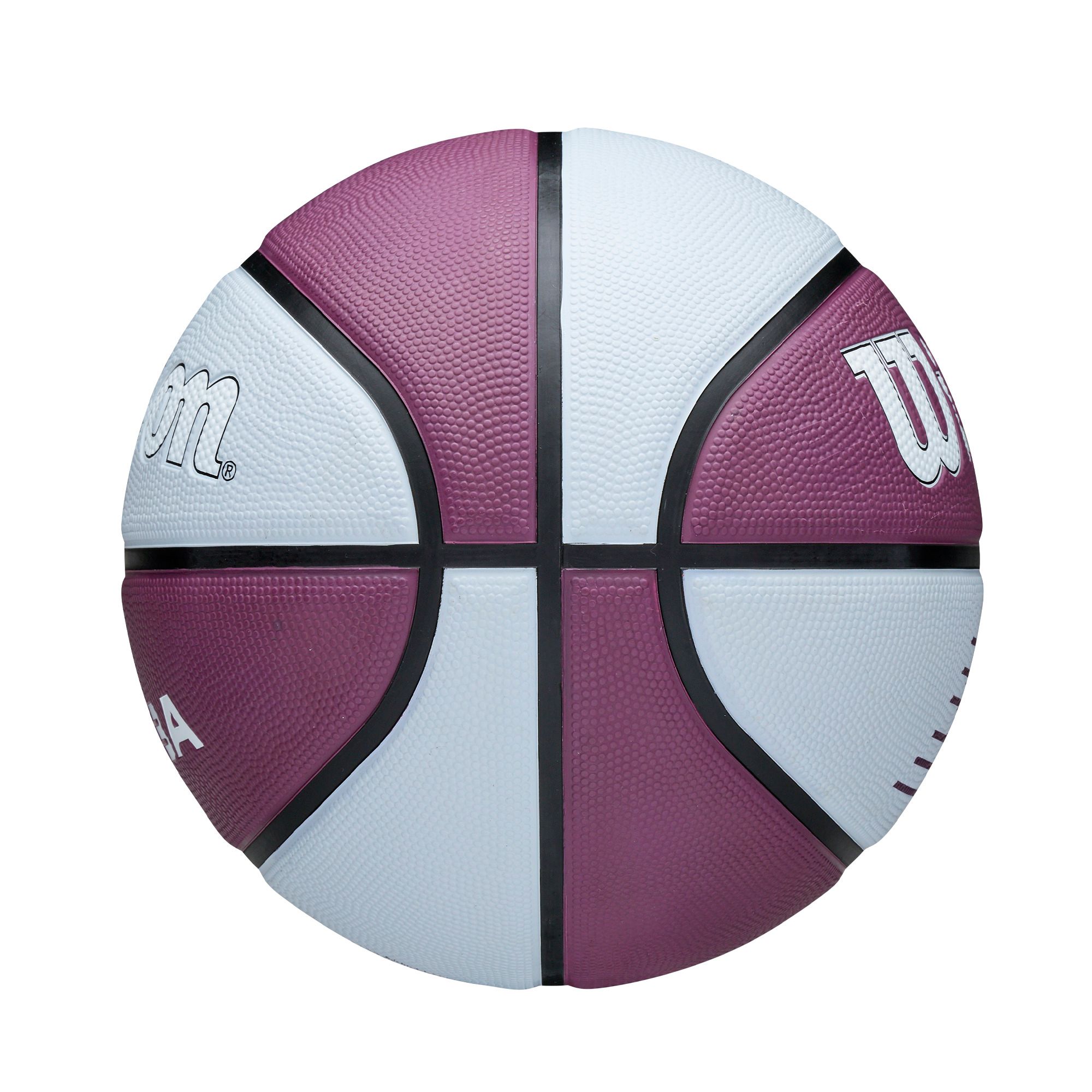 Wilson WNBA Team Tribute Tempo Senior Basketball - Size 6