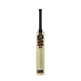 Gunn & Moore Eclipse Cricket Bat Front_Flat