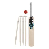 Gunn & Moore Diamond Cricket Set Front_Flat