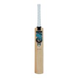 Gunn & Moore Diamond 202 BS55 Cricket Bat Front_Flat