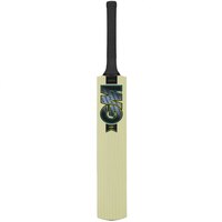 Gunn & Moore Aion Short Handle Cricket Bat Front_Flat