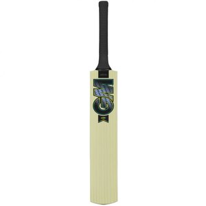 Gunn & Moore Aion Short Handle Cricket Bat