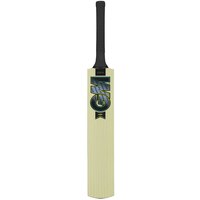 Gunn & Moore Aion Harrow Cricket Bat Front_Flat
