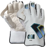Gunn & Moore Aion Wicket Keeper Gloves Composite_or_Mixed