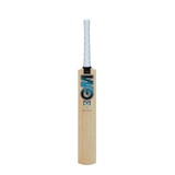 Gunn & Moore Diamond 101 BS55 Short Handle Cricket Bat Front_Flat